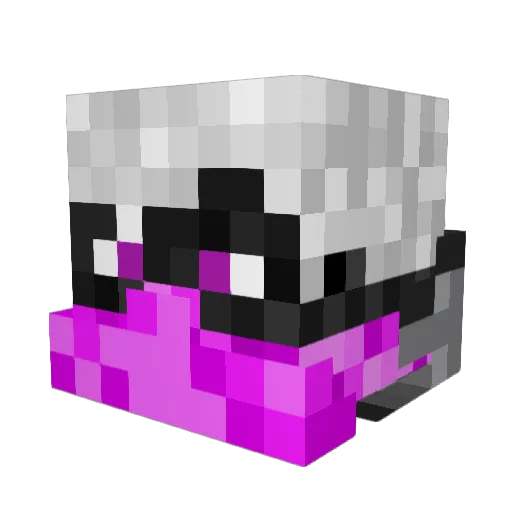 Saberking1 Minecraft avatar head, 3D render