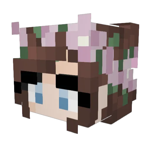 Saberlen Minecraft avatar head, 3D render