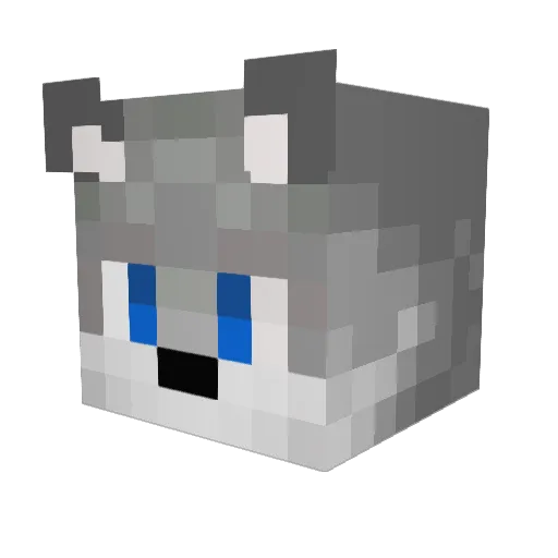 Sabin1708 Minecraft avatar head, 3D render