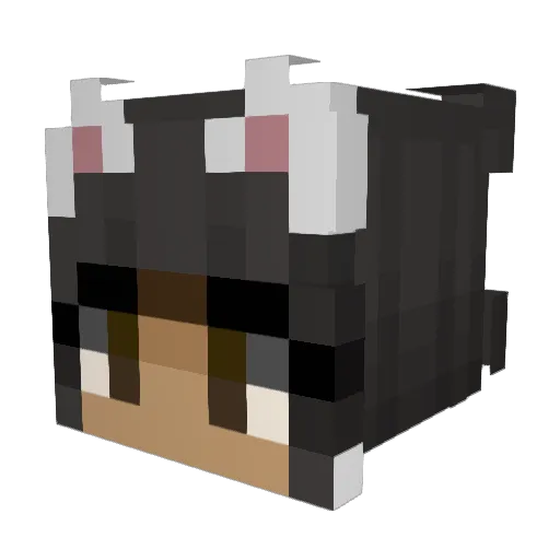 Sabinkaa Minecraft avatar head, 3D render