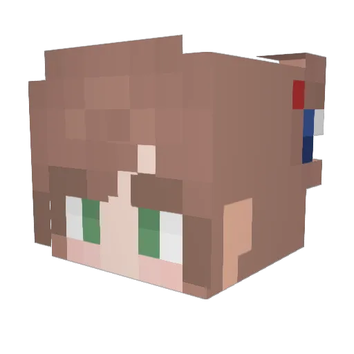 Sabisu Minecraft avatar head, 3D render
