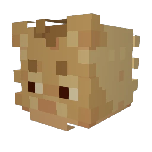 SableTV Minecraft avatar head, 3D render
