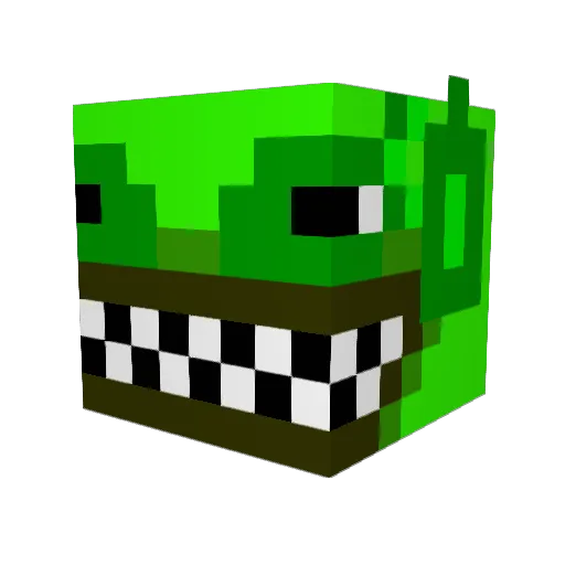 Sabol9 Minecraft avatar head, 3D render