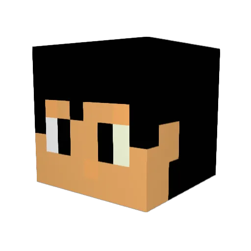 Saboo91 Minecraft avatar head, 3D render