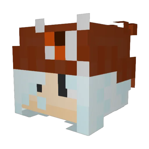 Sabresauce Minecraft avatar head, 3D render