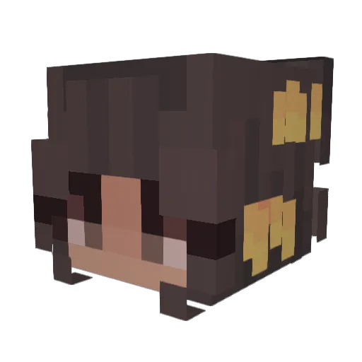 Sabrina8a Minecraft avatar head, 3D render