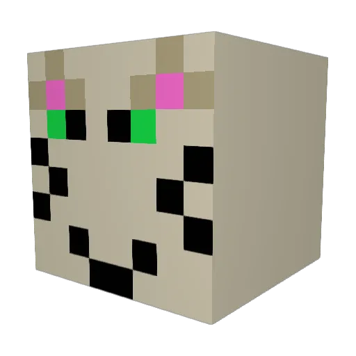 Sabsi17 Minecraft avatar head, 3D render