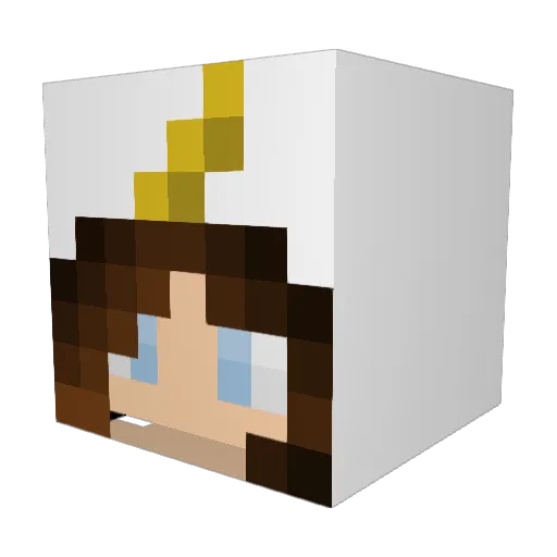 Sabsi_17 Minecraft avatar head, 3D render