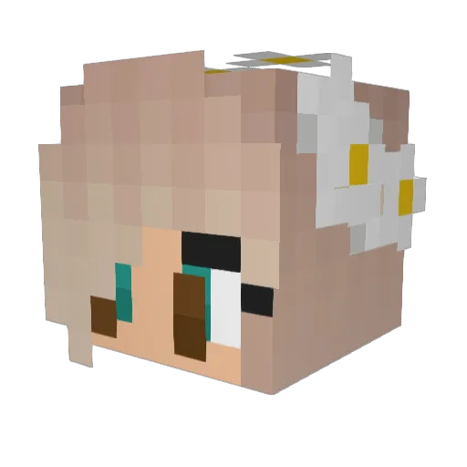 Sabsinator32 Minecraft avatar head, 3D render