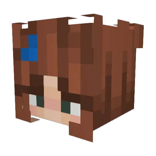 Sabwayy Minecraft avatar head, 3D render