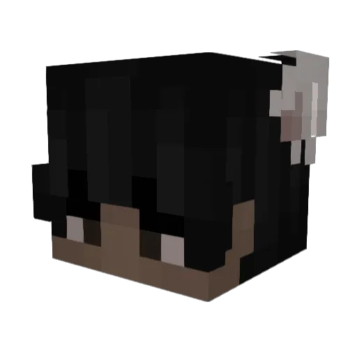 Saccharine23 Minecraft avatar head, 3D render