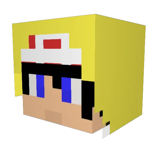 Sach25 Minecraft avatar head, 3D render