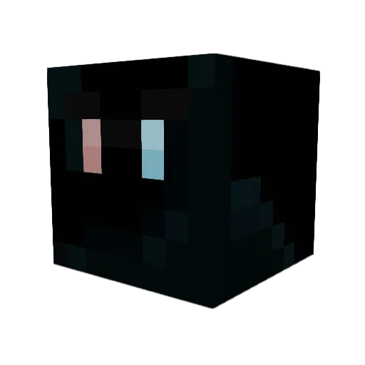 Sacha12345 Minecraft avatar head, 3D render