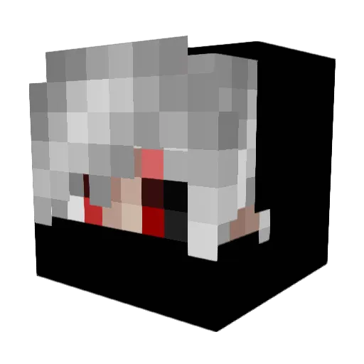 Sacha418 Minecraft avatar head, 3D render