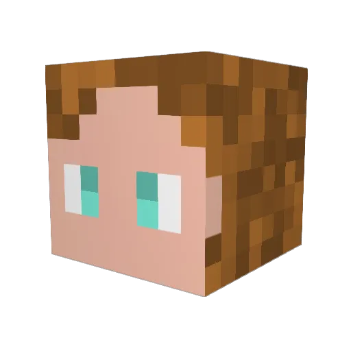 Sacha_0o0 Minecraft avatar head, 3D render