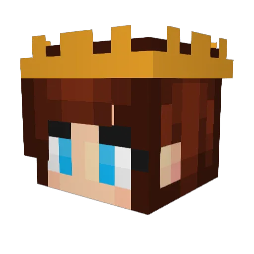 Sacherfly Minecraft avatar head, 3D render