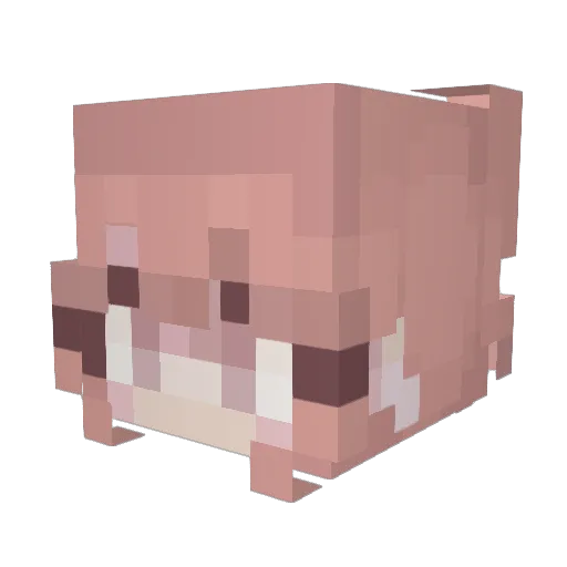 Sachi_1120 Minecraft avatar head, 3D render