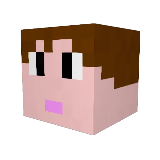 SackWack125 Minecraft avatar head, 3D render
