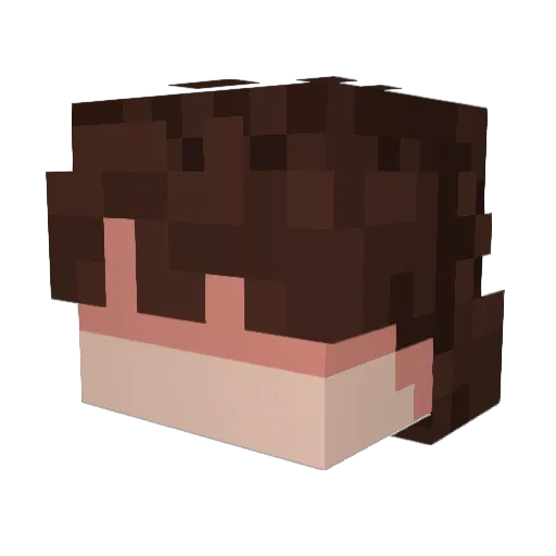 Sack_adder Minecraft avatar head, 3D render