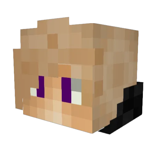 Sacklbicker Minecraft avatar head, 3D render