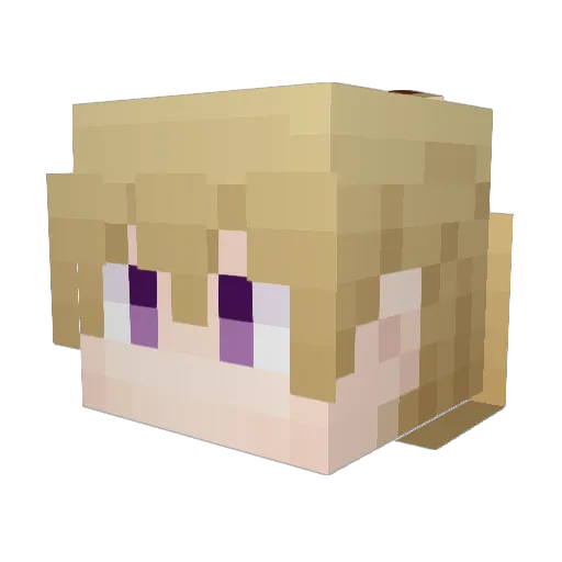 Sackn398 Minecraft avatar head, 3D render