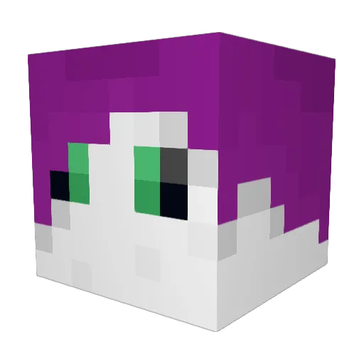 Sacrem4577 Minecraft avatar head, 3D render