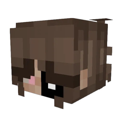 SadAbyss Minecraft avatar head, 3D render