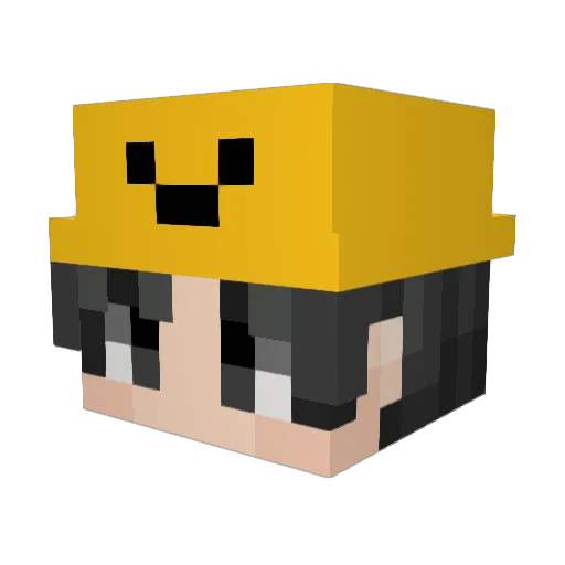 SadBee080317 Minecraft avatar head, 3D render