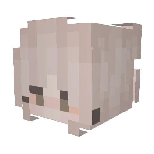 SadBiitch_ Minecraft avatar head, 3D render
