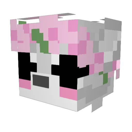 SadCat_PL Minecraft avatar head, 3D render