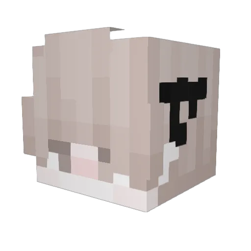 SadFay Minecraft avatar head, 3D render