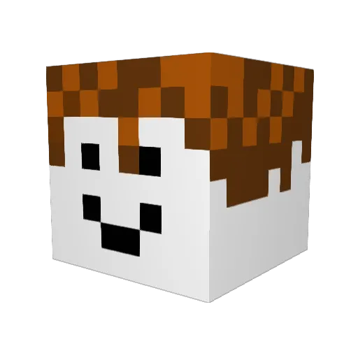 SadForYou_ Minecraft avatar head, 3D render