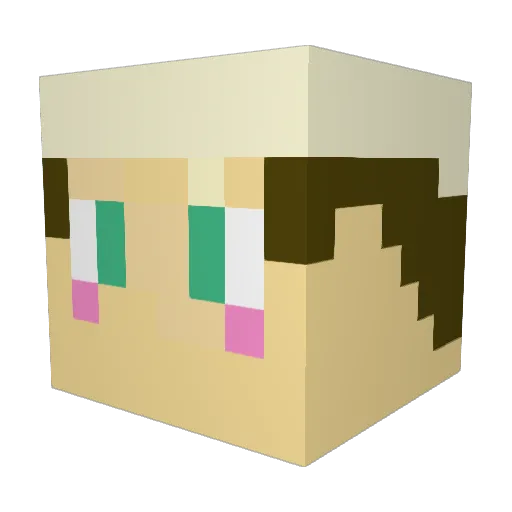 SadFrogBoiz Minecraft avatar head, 3D render