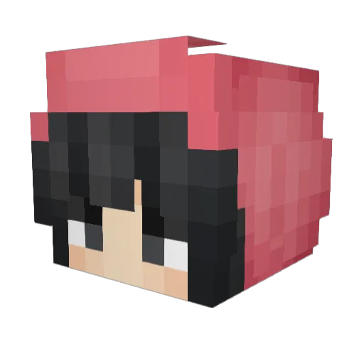 SadGarlic_n8 Minecraft avatar head, 3D render