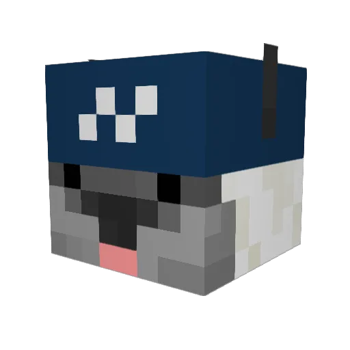 SadGoon Minecraft avatar head, 3D render