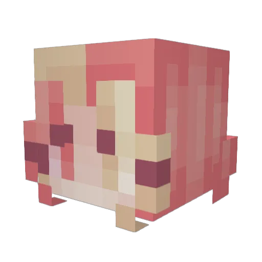 SadKitty3011 Minecraft avatar head, 3D render