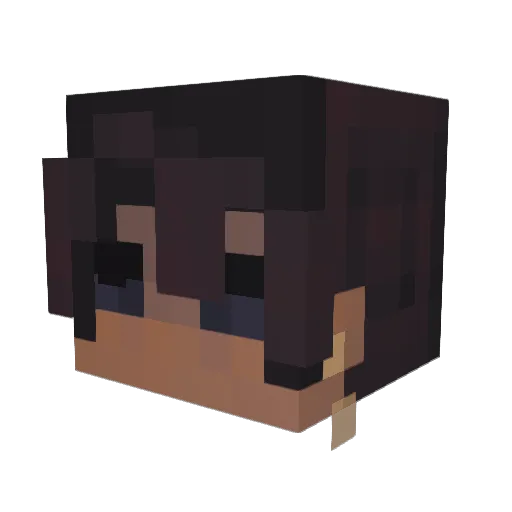SadMagicFan Minecraft avatar head, 3D render