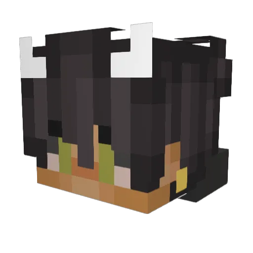 SadNio Minecraft avatar head, 3D render