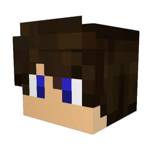 SadPanda7 Minecraft avatar head, 3D render