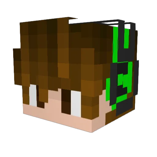 SadPatLan Minecraft avatar head, 3D render