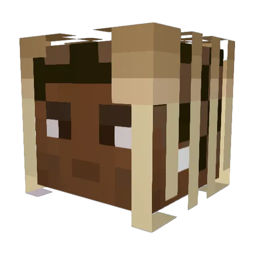 SadSand Minecraft avatar head, 3D render
