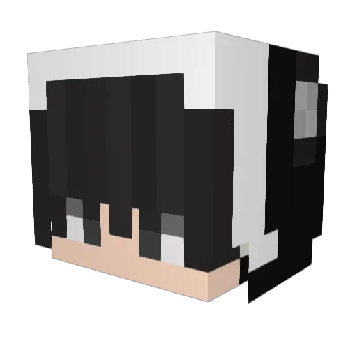 SadSchnitzel Minecraft avatar head, 3D render