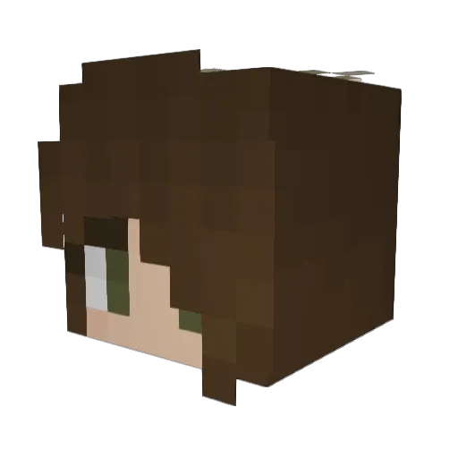 SadTurtle03 Minecraft avatar head, 3D render