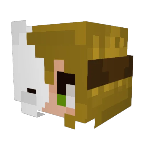 SadZebra10 Minecraft avatar head, 3D render