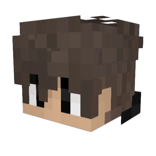 Sad_96333 Minecraft avatar head, 3D render