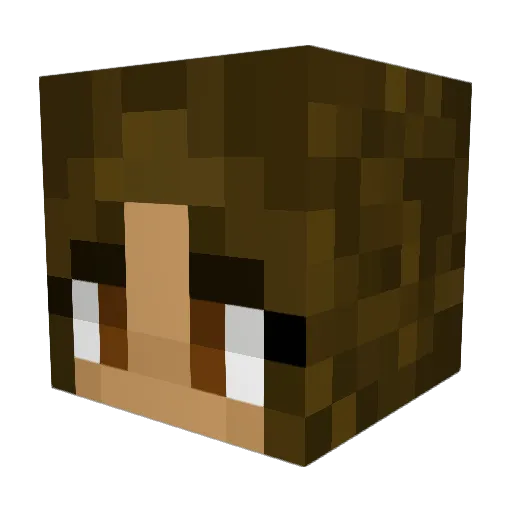 Sad_Bean_27 Minecraft avatar head, 3D render