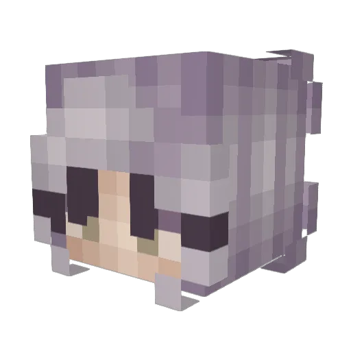 Sad_Coward Minecraft avatar head, 3D render