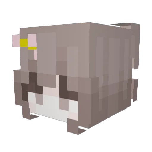 Sad_sunflower Minecraft avatar head, 3D render