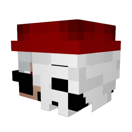 Sadahei Minecraft avatar head, 3D render