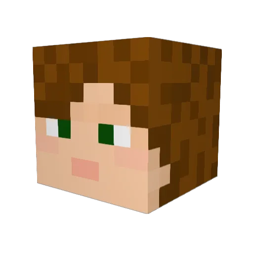 Sadamin Minecraft avatar head, 3D render